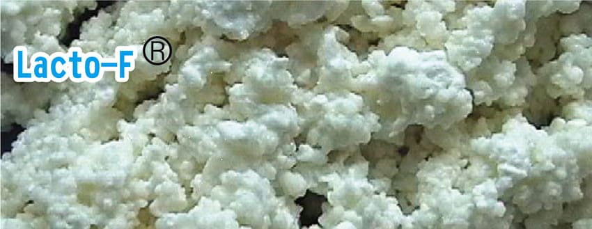 Lacto-F