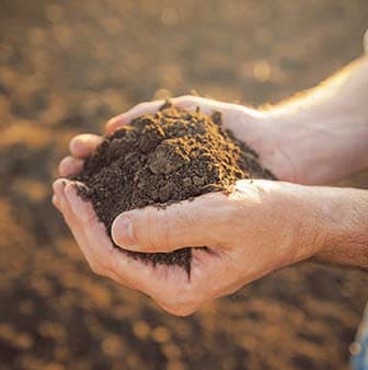 環境改善,豐展生技