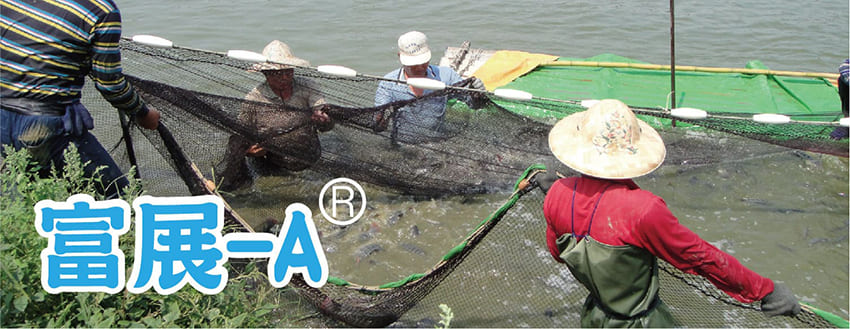 豐展生技的富展-A