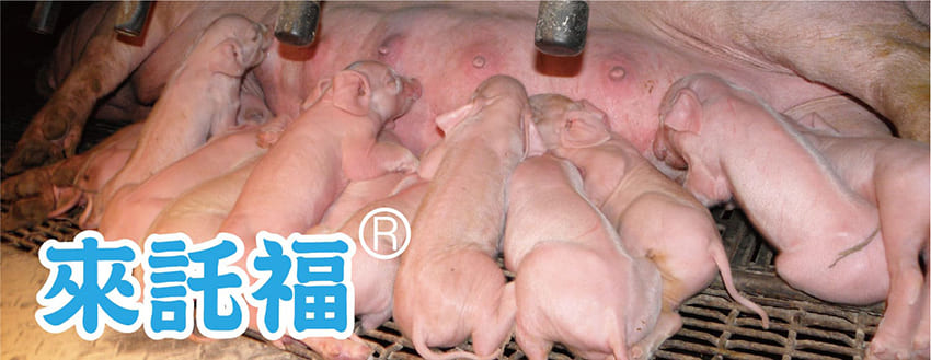 豐展生技的來託福