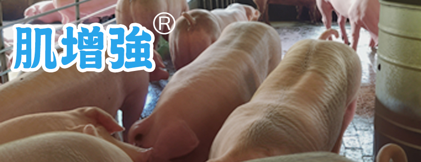 豐展生技的肌增強></div>
    <h4 class=