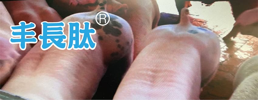 丰展生技的丰长肽