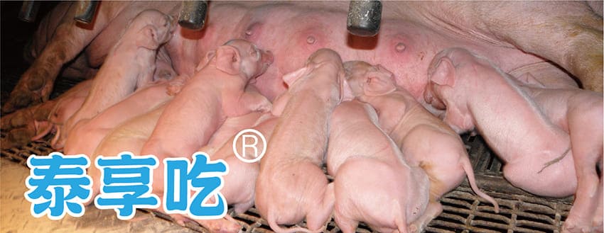 豐展生技的肽好吃